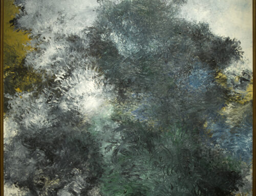 Memoria de lluvia y más