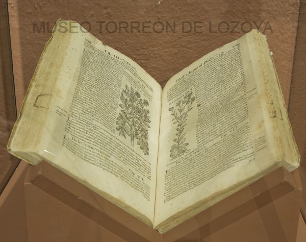 Pedacio Dioscorides Anarzabeo