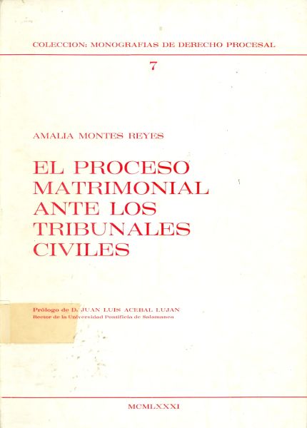 El proceso matrimonial ante los tribunales civiles
