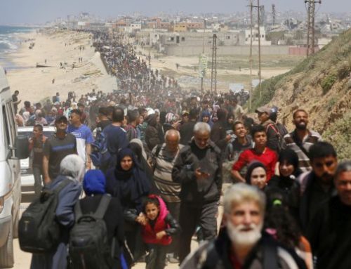 «Gaza, la mirada no silenciada»